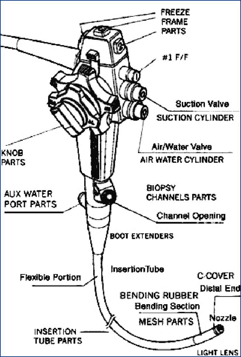 Части эндоскопа. Схема эндоскопа. Строение эндоскопа. Составные части эндоскопа. Строение гибкого эндоскопа.